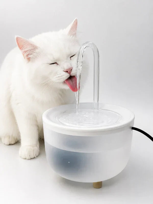 Comment nettoyer une fontaine à eau pour chat ?