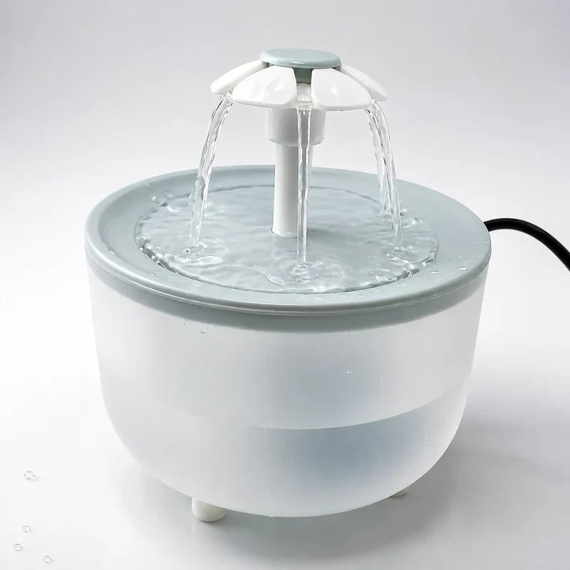 Fontaine à eau pour chat : guide d’achat complet