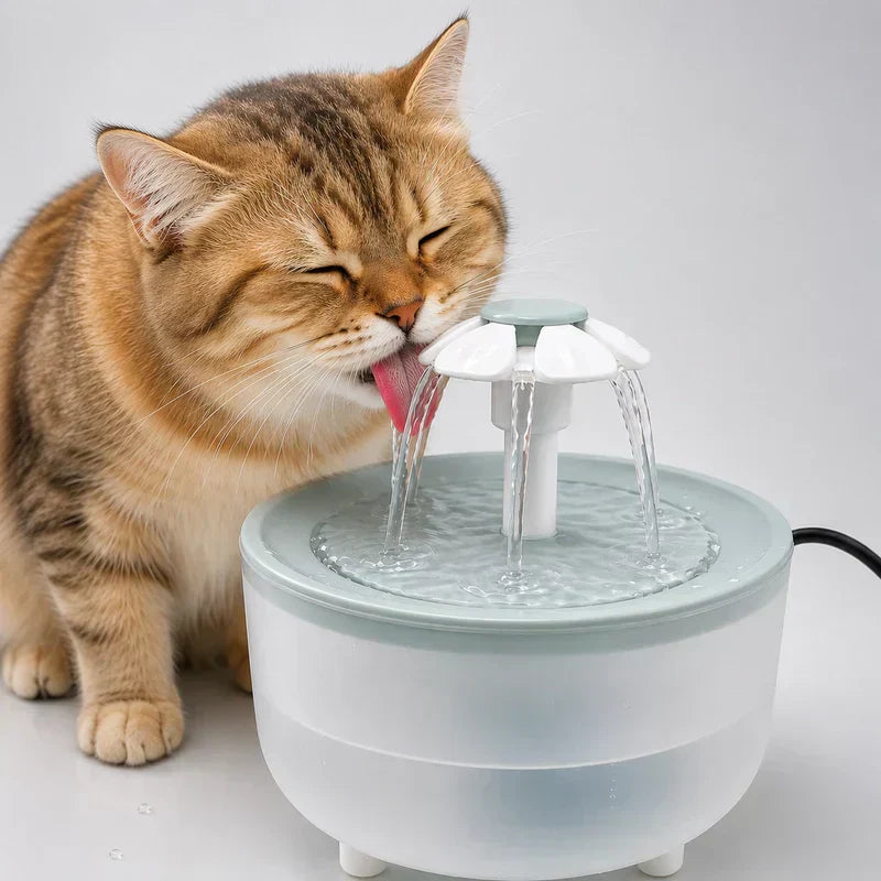 Fontaine à eau pour chat
